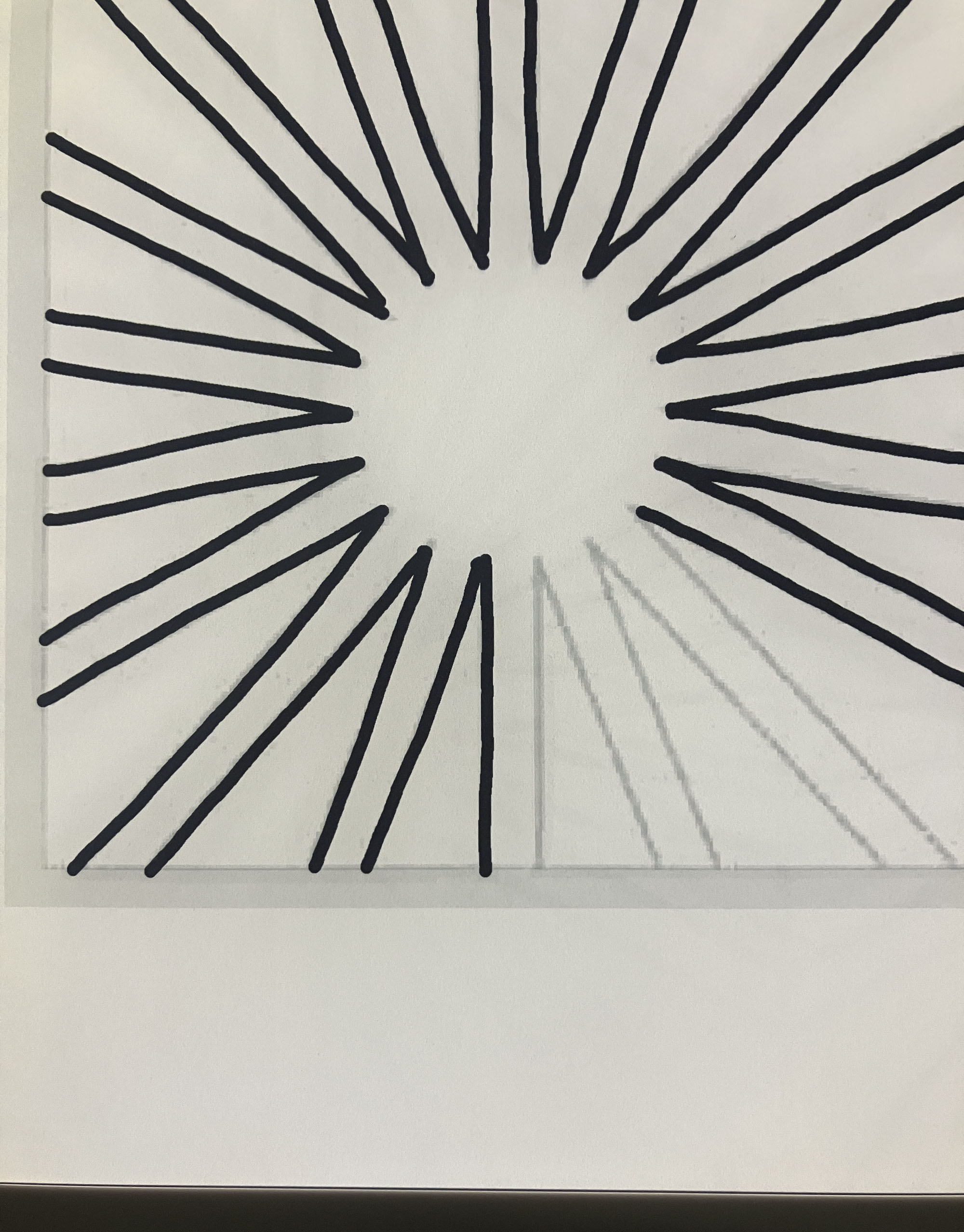 Sample Image (zoomed)